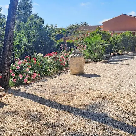 Les Au Palmier * Cannes-et-Clairan